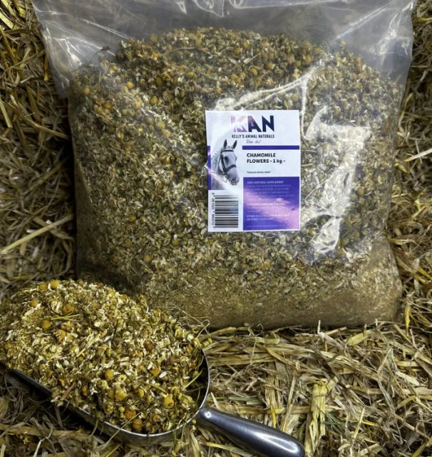 Natraliving Horse Chamomile Flowers 1 Natraliving Horse Chamomile Flowers