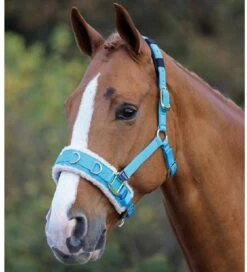 Fleece Lined Lunging Cavesson