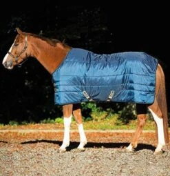 Amigo Mio Insulator Medium