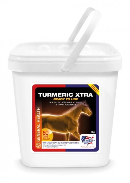 Equine America Turmeric 1 Equine America Turmeric