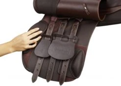 Arena General Purpose 10 Arena General Purpose -Equestria Shop 14043d