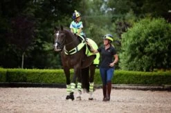 EquiSafety Quilted Leg Boots -Equestria Shop 14290c