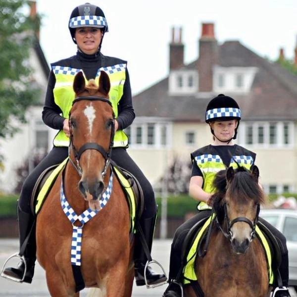 EquiSafety Polite Waistcoat 4 EquiSafety Polite Waistcoat - Image 4