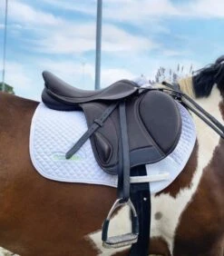 Ecorider Freedom Jump Saddle -Equestria Shop 14433c