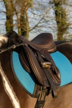 Ecorider Freedom Jump Saddle -Equestria Shop 14433e