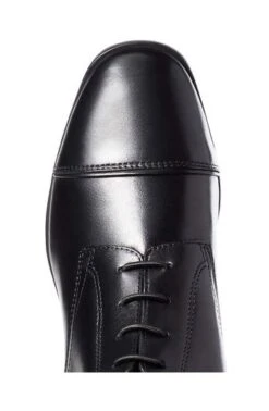 Ariat Palisade Tall Boot -Equestria Shop 14475d