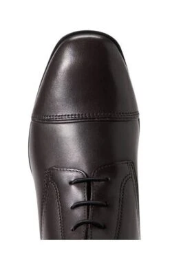 Ariat Palisade Tall Boot -Equestria Shop 14475i