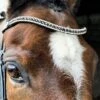 Ecorider Freedom Juliette Browband