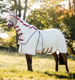 Rambo Optimo Supreme Summer Sheet 7 Rambo Optimo Supreme Summer Sheet -Equestria Shop 14561d