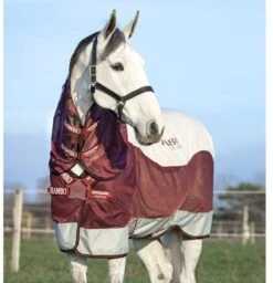 Rambo Summer Series Turnout