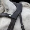 Ecorider Freedom Comfort Browband