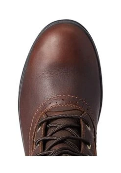 Ariat Wythburn Tall H20 -Equestria Shop 14949d