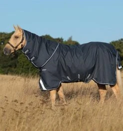 Amigo Bravo 12 Plus Turnout Heavy -Equestria Shop 15056c