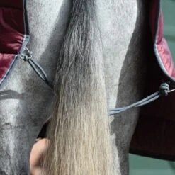 Weatherbeeta Comfitec 210D Channel Quilt Combo Neck Medium -Equestria Shop 15133c