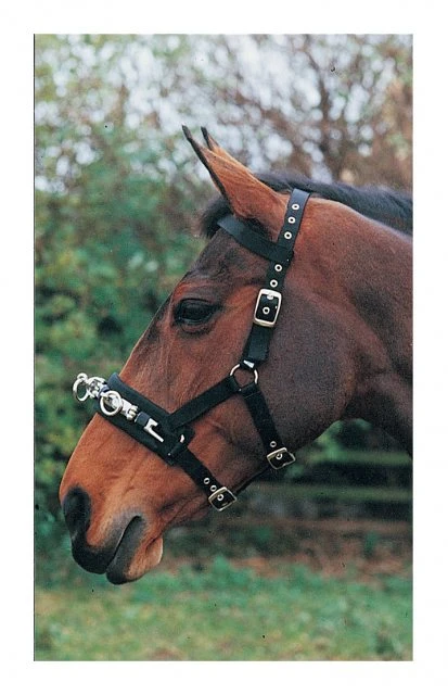 Hy Lunge Caveson 1 Hy Lunge Caveson