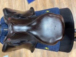 Albion Kontact Lite -Equestria Shop 15979c