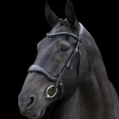 Ecorider Ecosoft Enigma Bridle -Equestria Shop 16001c