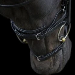 Ecorider Ecosoft Enigma Bridle -Equestria Shop 16001e