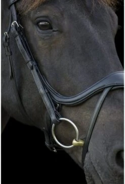 Ecorider Ecosoft Enigma Bridle -Equestria Shop 16001f