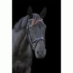 Ecorider Ecosoft Acclaim Bridle -Equestria Shop 16002c