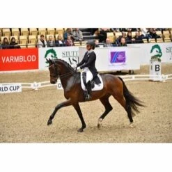 Catago FIR-Tech Dressage Saddle Pad 7 Catago FIR-Tech Dressage Saddle Pad -Equestria Shop 16191d