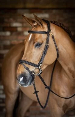 LeMieux Work Bridle