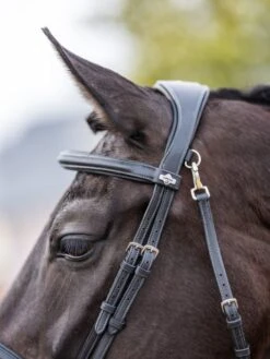 LeMieux Work Bridle -Equestria Shop 16206d