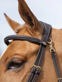 LeMieux Work Bridle -Equestria Shop 16206e