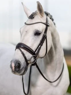 LeMieux Classic Dressage Bridle -Equestria Shop 16213e