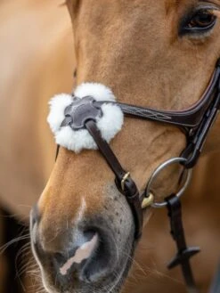 LeMieux Grackle Bridle 9 LeMieux Grackle Bridle -Equestria Shop 16214c