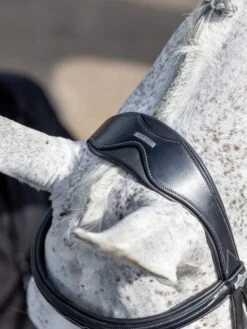 LeMieux Competition Flash Bridle -Equestria Shop 16215c
