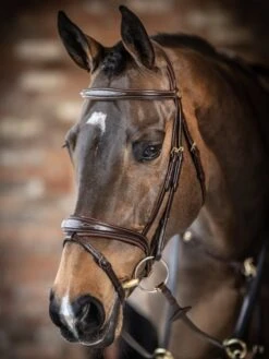 LeMieux Competition Flash Bridle -Equestria Shop 16215d