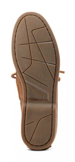 Ariat Antigua - Chocolate Brown -Equestria Shop 16335e