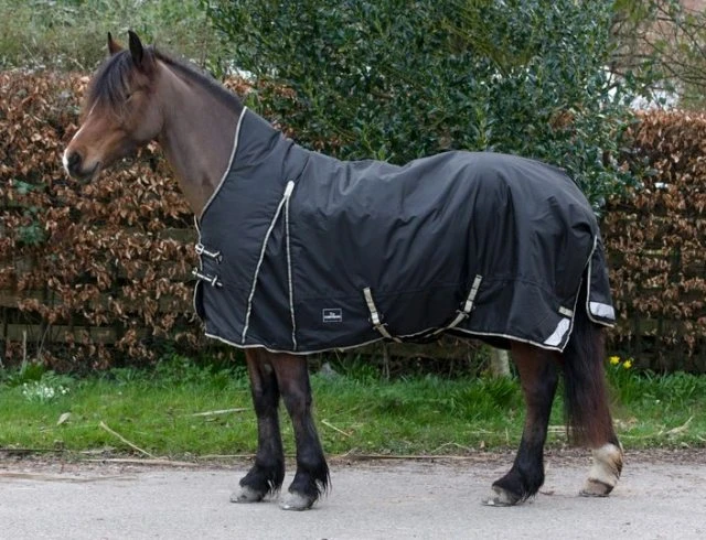 Cameo Equine Half Neck Turnout 200g 1 Cameo Equine Half Neck Turnout 200g