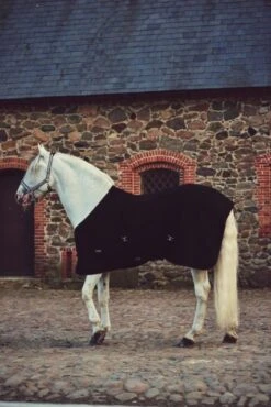 Catago Cooler Rug -Equestria Shop 16614c