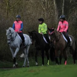 Weatherbeeta Reflective Light Weight Waterproof Jacket 7 Weatherbeeta Reflective Light Weight Waterproof Jacket -Equestria Shop 16750d