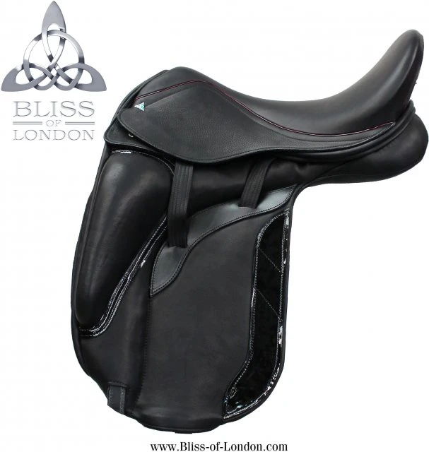 Bliss Paramour Dressage 1 Bliss Paramour Dressage