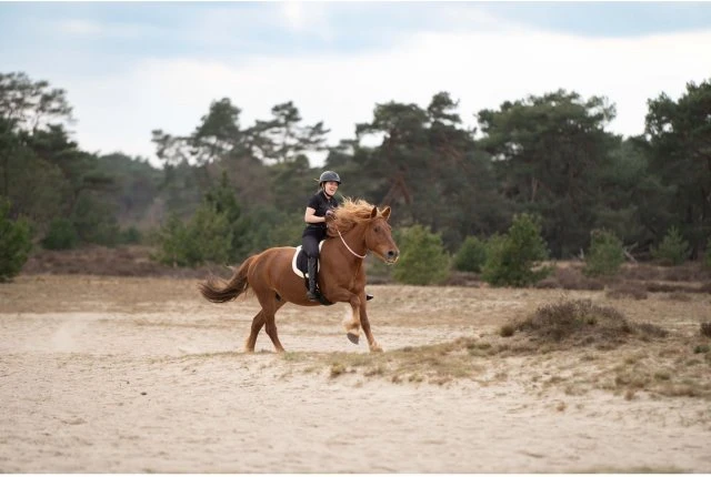 Imperial Riding Free Ride Bareback Pad 2 Imperial Riding Free Ride Bareback Pad - Image 2