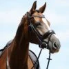 Passier Atlas Snaffle Bridle W/ Rubber Reins