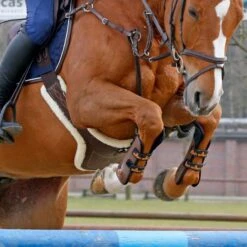 Kentucky Sheepskin Stud Girth -Equestria Shop 17319c