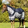 LeMieux Arika Shower-Tek Fly Rug
