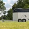 Cheval Liberte Hippomobile