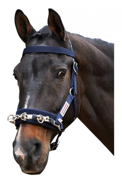 John Whitaker Lunge Cavesson 1 John Whitaker Lunge Cavesson