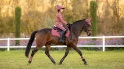 LeMieux Grafter Brushing Boots - Orchid -Equestria Shop 17991c