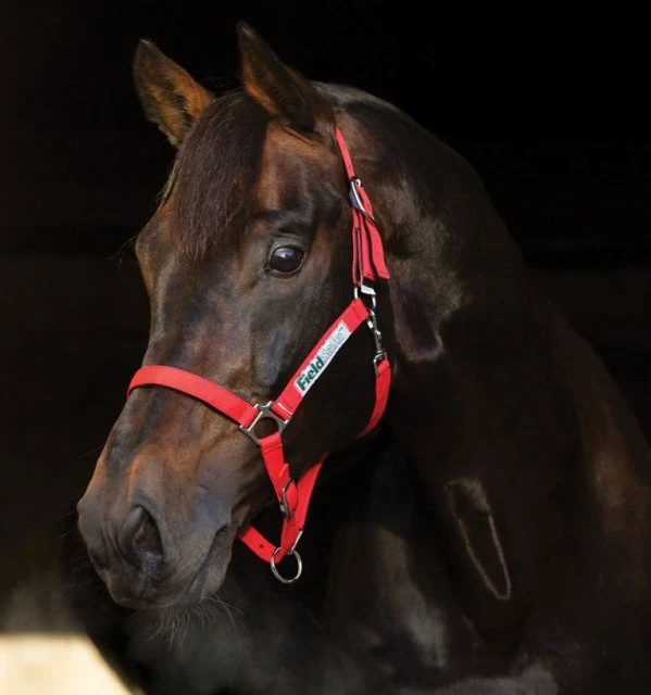 Horseware Fieldsafe Headcollar 1 Horseware Fieldsafe Headcollar