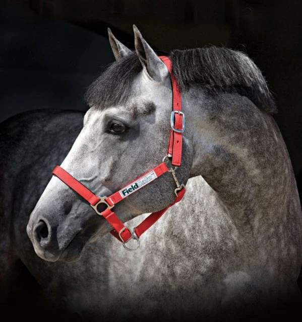 Horseware Fieldsafe Headcollar 2 Horseware Fieldsafe Headcollar - Image 2
