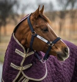 Horseware Fieldsafe Headcollar 6 Horseware Fieldsafe Headcollar -Equestria Shop 18029c