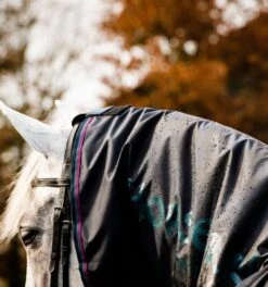 Rambo Mack In A Sack 6 Rambo Mack In A Sack -Equestria Shop 18035c