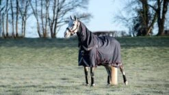 LeMieux Kudos Turnout Rug - 100g -Equestria Shop 18056c