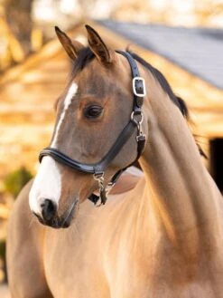 LeMieux Leather Grooming Headcollar -Equestria Shop 18222c